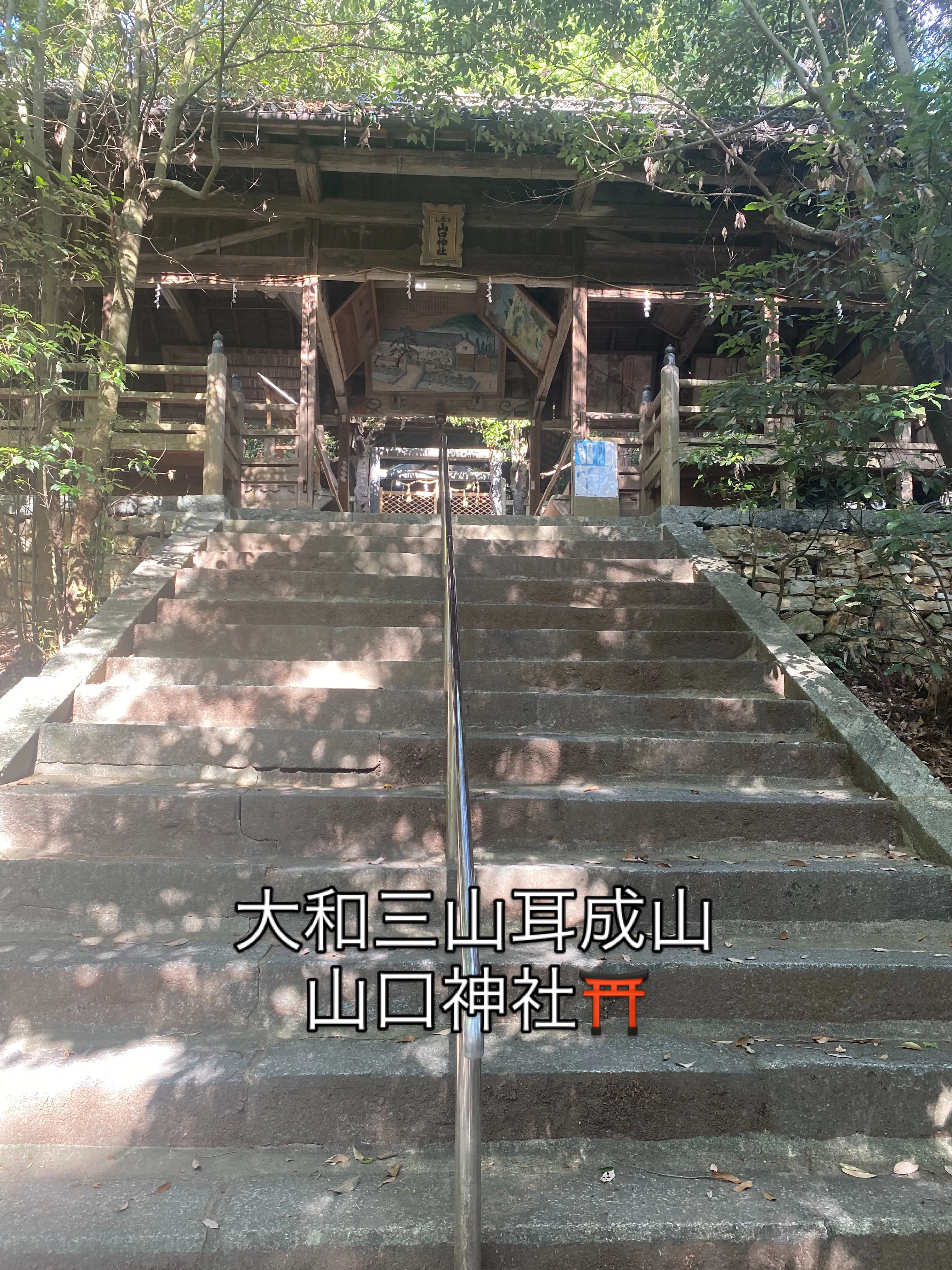 朝、参道を走っていると